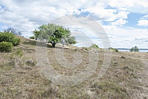 Hovgarden landscape in Malaren Sweden