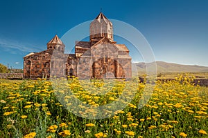 Hovhannavank monastery and church exterior and yellow tansy flowers. Travel and religious destinations of Armenia