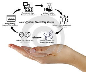 How Affiliate Marketing Works