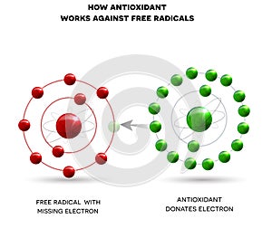 How antioxidant works