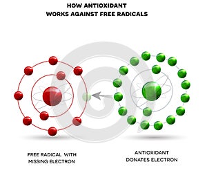 How antioxidant works photo