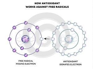 How antioxidant works against free radicals photo