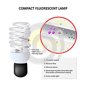 How do compact fluorescent lamp Work