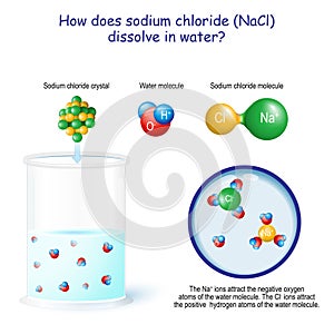 How does sodium chloride NaCl dissolve in water