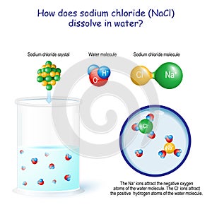 How does sodium chloride NaCl dissolve in water photo