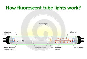 How fluorescent tube lights work