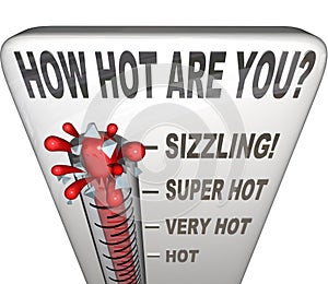 How Hot Are You Words Thermometer Attractive