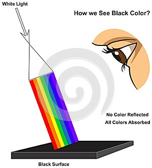 How human eye see black surface infographic diagram physics mechanics dynamics science