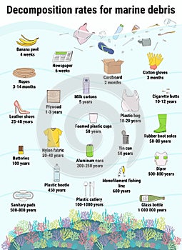 How long does it take to decompose