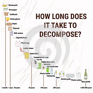 How long does it take to decompose