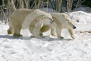 How long ii this going to take