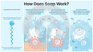 How Soap Works vector illustration infographic