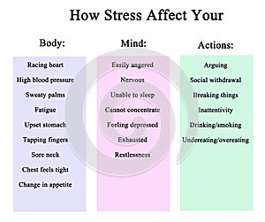 Stress affect your body, mind, and actions