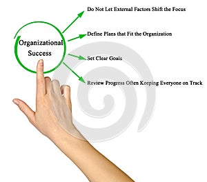 Organizational Success