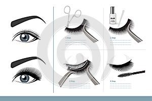 How to Apply False Eyelashes Step by Step Properly. Full Tutorial on Application. Guide. Infographic Vector photo