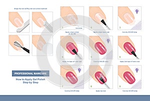 How to Apply Gel Polish Step by Step. Professional Manicure Tutorial. Vector photo