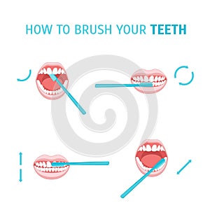 How To Brush Your Teeth. Vector