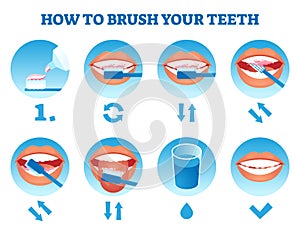 How to brush your teeth vector illustration. Simple educational care process