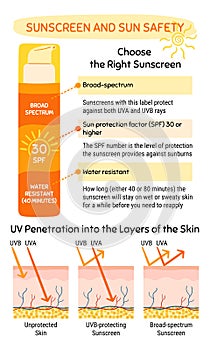 How to choose and apply sunscreen infographic. UV penetration into the layers of the skin. Broad-spectrum, water resistant SPF