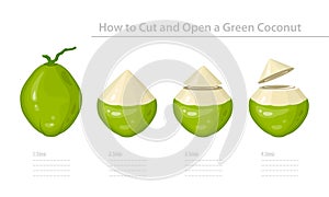 How to Cut and Open a Green Young Coconut. Step-by-Step Instruction. Vector