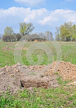 How to dig a perfect planting hole in garden. Dig a hole to plant a fruit tree