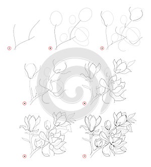 How to draw beautiful branch with magnolia flowers. Creation step by step pencil drawing. Educational page for artists.