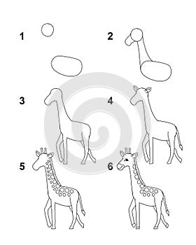 How to draw Giraffe with 6 step cartoon illustration with white background