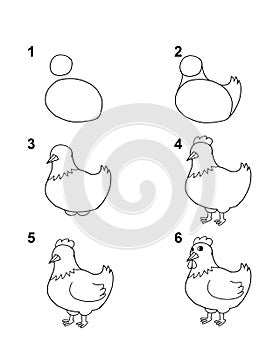 How to draw Hen with 6 step cartoon illustration with white background