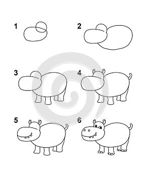 How to draw Hippo with 6 step cartoon illustration with white background