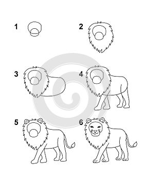 How to draw Lion step by step cartoon illustration with white background