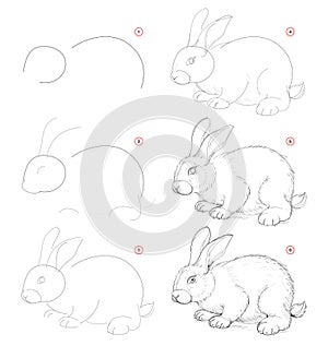 How to draw from nature sketch of cute little rabbit. Creation step by step pencil drawing. Educational page for artists.