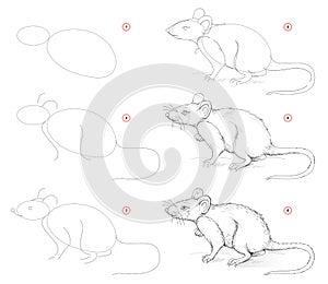 How to draw from nature sketch of cute rat. Creation step by step pencil drawing. Educational page for artists.