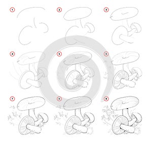 How to draw from nature sketch of group mushrooms. Creation step by step pencil drawing. Educational page for artists.