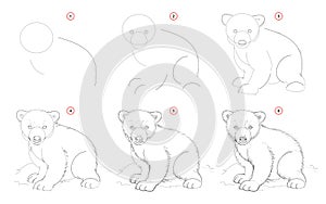 How to draw from nature sketch of white teddy bear. Creation step by step pencil drawing. Educational page for artists.