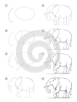 How to draw from nature step by step sketch of African elephant. Creation pencil drawing. Educational page for artists.