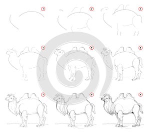 How to draw from nature step by step sketch of cute camel. Creation step-wise pencil drawing. Educational page for artists.