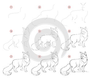 How to draw from nature step by step sketch of cute fox. Creation step-wise pencil drawing. Educational page for artists.