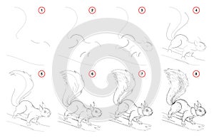 How to draw from nature step by step sketch of cute squirrel. Creation step-wise pencil drawing. Educational page for artists.