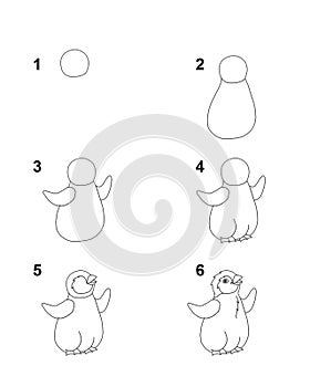 How to draw Pinguin step by step cartoon illustration with white background