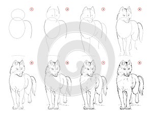 How to draw sketch of imaginary cute husky dog. Creation step by step pencil drawing. Education for artists.