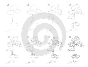 How to draw sketch of pine tree. Creation step by step pencil drawing. Educational page for artists.