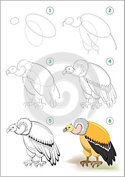 How to draw step by step predatory vulture. Educational page for kids. Back to school. Developing children skills for drawing.