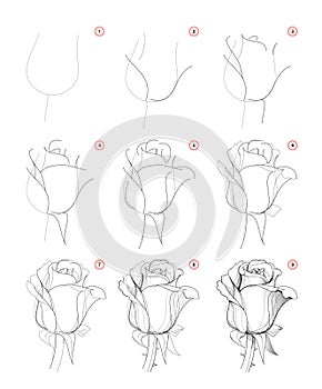How to draw step-wise beautiful rose flower bud. Creation step by step pencil drawing. Educational page for artists. photo