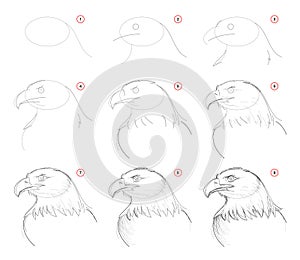 How to draw step-wise sketch of imaginary cute eagles head. Creation step by step pencil drawing. Educational page.