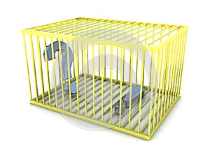 How to find the answer. Exclamation and question marks in gold cage.