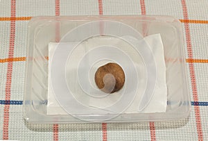 How to germinate avocado concept. Avocado seed on wet napkin