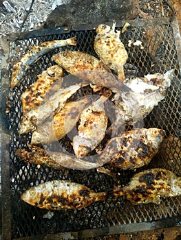 How to grill fish