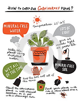 How to grow carnivorous plant. Cute hand drawn infographic about venus flytrap care. Vector illustration