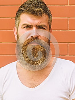 How to grow great beard. Beard grooming has never been so easy. Beard care tricks will keep your facial hair looking