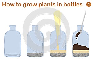 How to grow plants in bottles